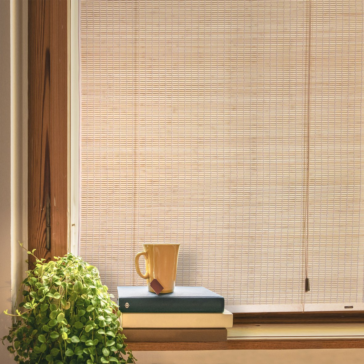 Cortinas Tradicionales